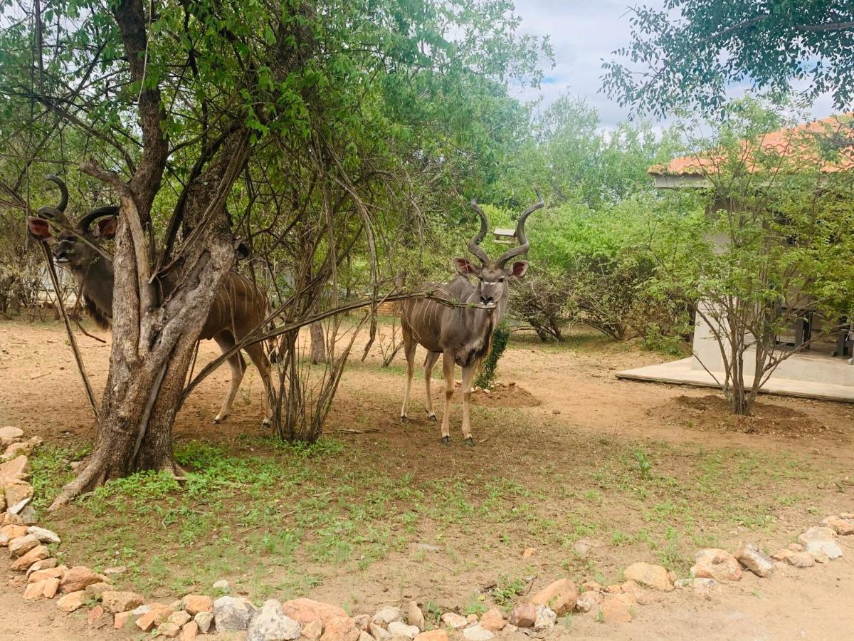 Impala Lily Villa Marloth Park Exterior photo